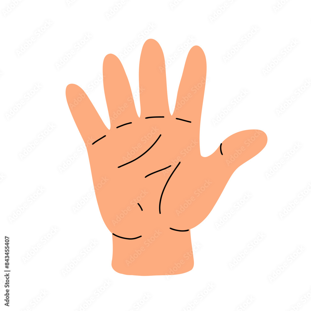 Counting with fingers. Hand gesturing, arm showing one, two, three, four and five numbers, digits. Countdown, score, elementary math learning. Flat vector illustration isolated on white background Counting with fingers. Hand gesturing, arm showing one, two, three, four and five numbers, digits. Countdown, score, elementary math learning. Flat vector illustration isolated on white background