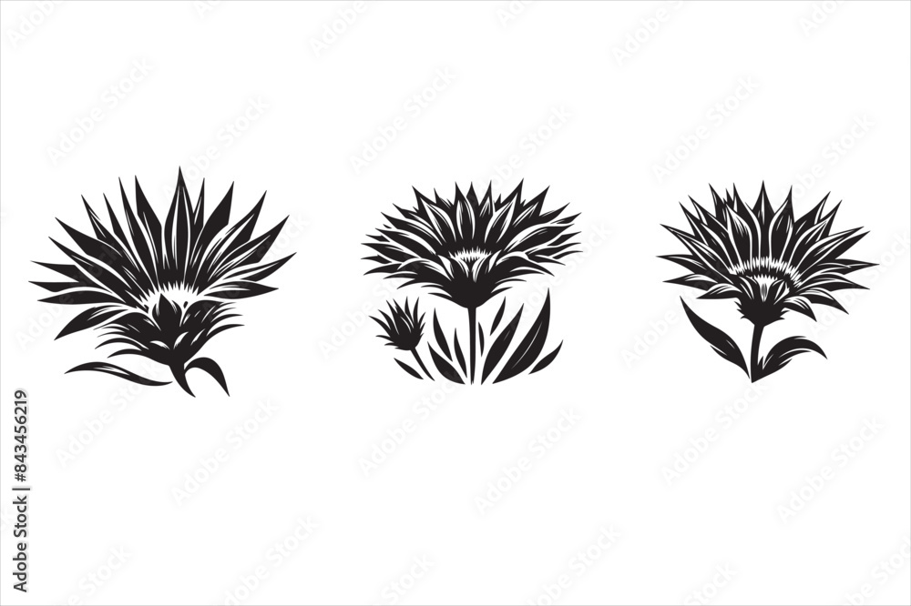 Fototapeta premium Asazania silhouette vector illustration