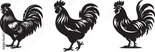  chicken silhouette vector illustration