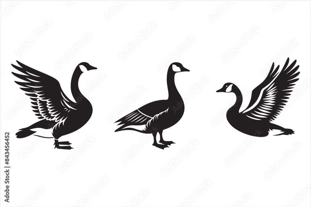Obraz premium Goose sillouette vector illustration