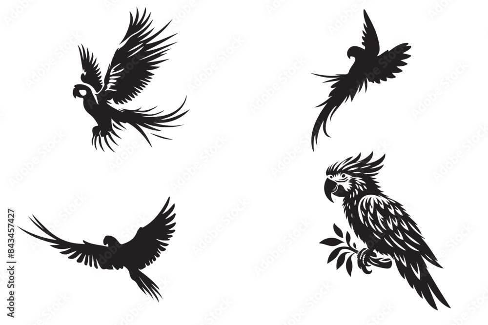 Fototapeta premium Parrot silhouete vector illustration