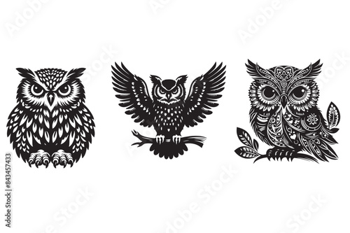 Owl silhouette vector illustation photo