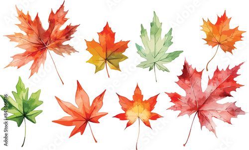 maple leaves watercolor clipart
