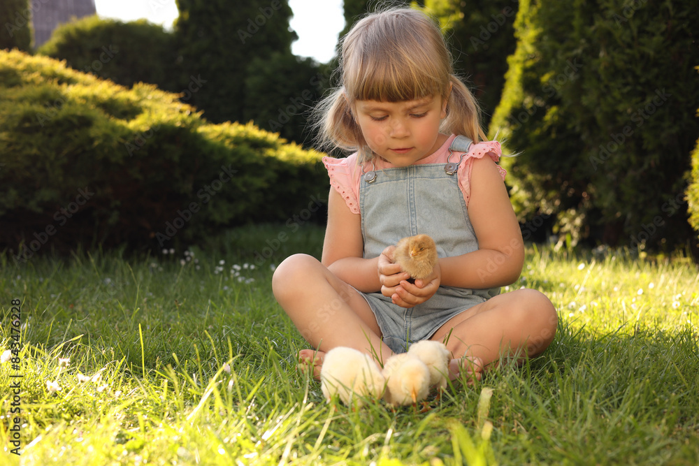 Little girl with cute chicks on green grass outdoors. Baby animals Little girl with cute chicks on green grass outdoors. Baby animals