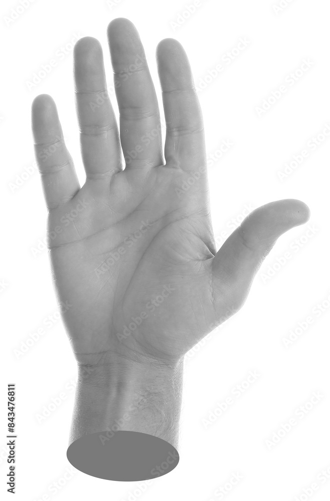 Man's hand on white background. Black and white effect Man's hand on white background. Black and white effect