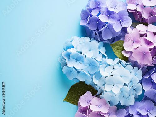 6月　梅雨　紫陽花　コピースペース