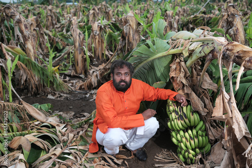  Indian Farmer Surveying Crop Destruction After Natural Disaster.