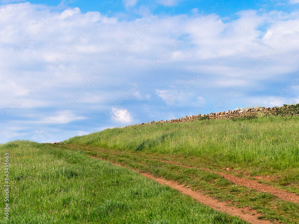 An overview of Abbotsbury village and surrounding fields and Chesil beach from St Catherine`s Hill in Dorset on a sunny morning in May
