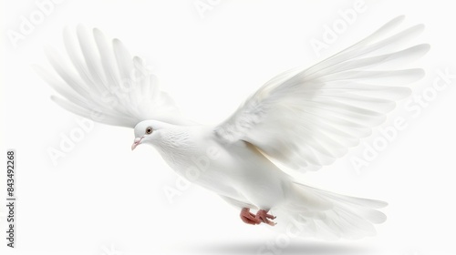 A white dove in flight with wings spread, isolated on a transparent background.