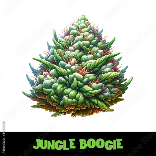 Vector Illustrated Jungle Boogie Cannabis Bud Strain Cartoon