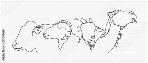 Continuous one line drawing of camel, sheep, cow, and goat. Concept of livestock, eid al adha. Editable stroke. Vector illustration.