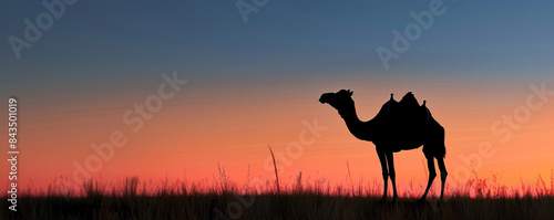 Elegant Eid ul Adha camel silhouette, gradient sky.  . photo