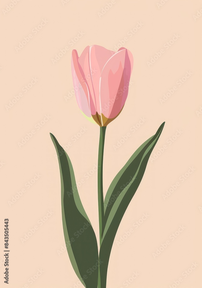 Flat vector illustration of a single pink tulip with green leaves on a solid pastel background - Generative AI Flat vector illustration of a single pink tulip with green leaves on a solid pastel background - Generative AI