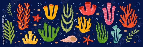 Green, blue, red corals and starfish. Underwater inhabitants of the ocean or coral reef. Vector illustration of a sea creature.