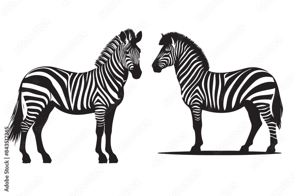 Fototapeta premium Zebra vector silhouette illustrationWeb