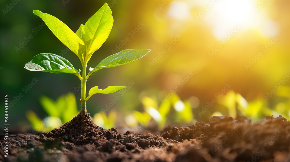 The best platforms for impact investing The best platforms for impact investing