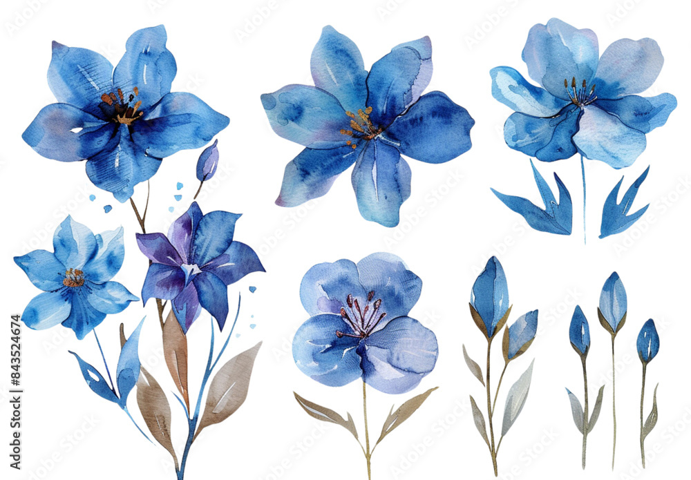 Obraz premium Set of watercolor blue flowers on a white backgroun