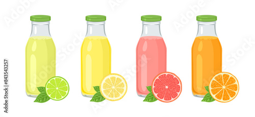 Set of citrus juices in glass bottles. Lime, orange, lemon and grapefruit drink and fresh slices. Vector cartoon illustration.