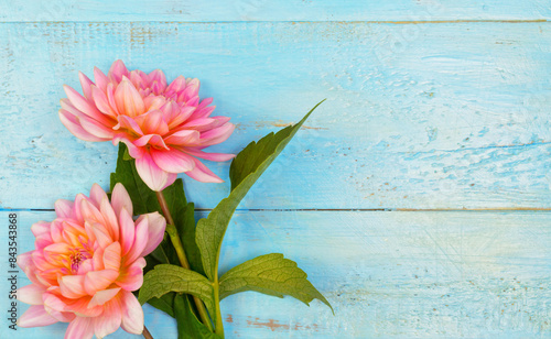 summer background. dahlias and a canvas on a blue wooden background. art. space for a text