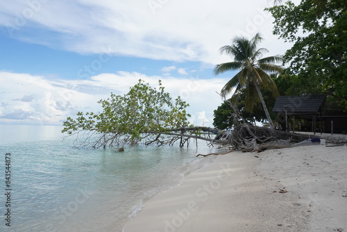 beach, clean beach, blue sky, clean beach, white sand, blue sky, Maratua Island, Berau, East Kalimantan photo