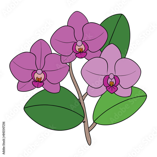 Adobe Illustrator Artwork Orchid flowers with branch Vector, white background illustration eps 10
