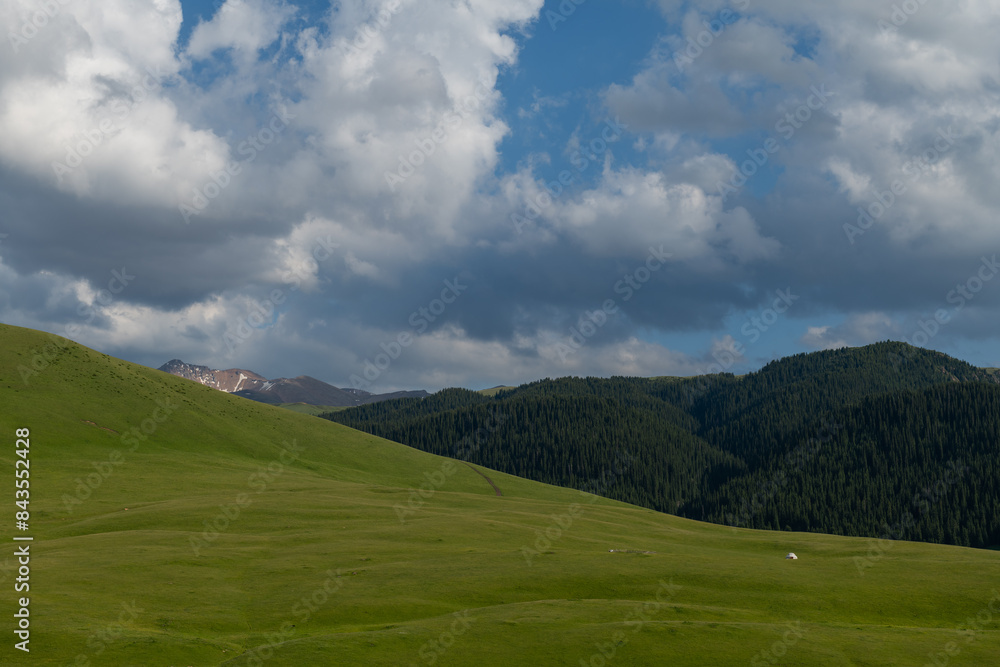 A picturesque high mountain plateau in the southeast of Kazakhstan in early summer
