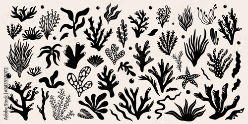 Abstract underwater plants shapes, forms, seaweed, algae, corals vector illustration design set. Different types of exotic marine flora decorative elements. Large collection of botanical funky doodles