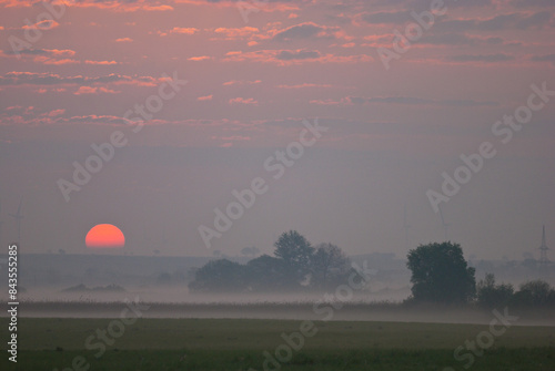 Sunrise over a natural meadow landscape with trees and bushes with morning ground mist in national park Neusiedlersee Seewinkel