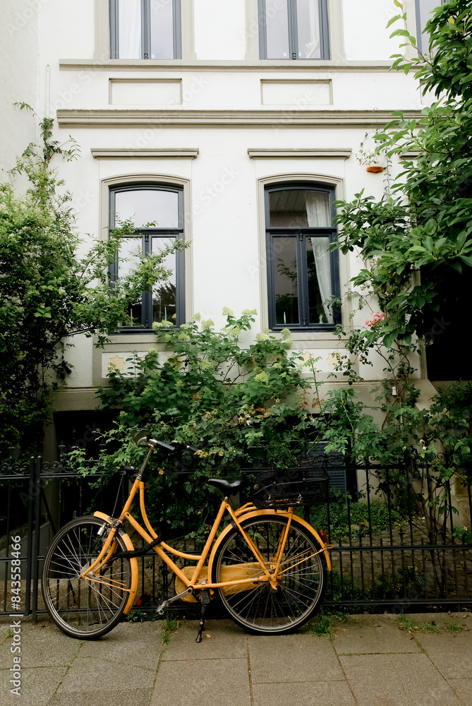 garden building plants outside bike garden building plants outside bike