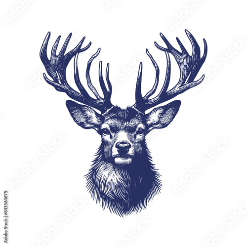 deer vector,  deer silhouette,  deer illustration