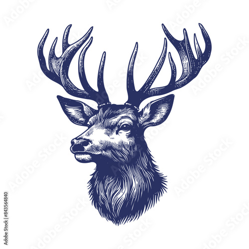 deer vector,  deer silhouette,  deer illustration