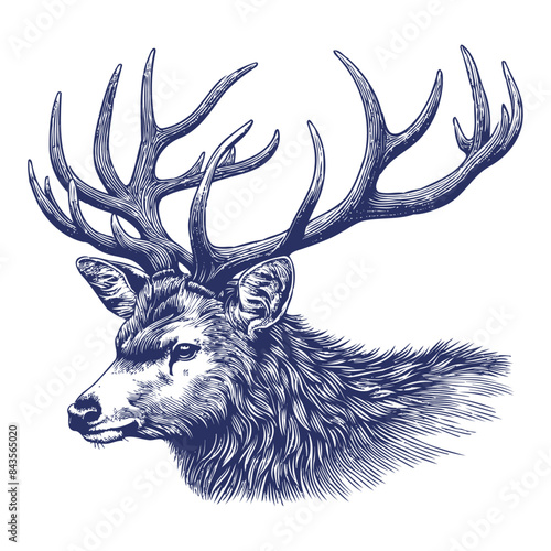 deer vector,  deer silhouette,  deer illustration