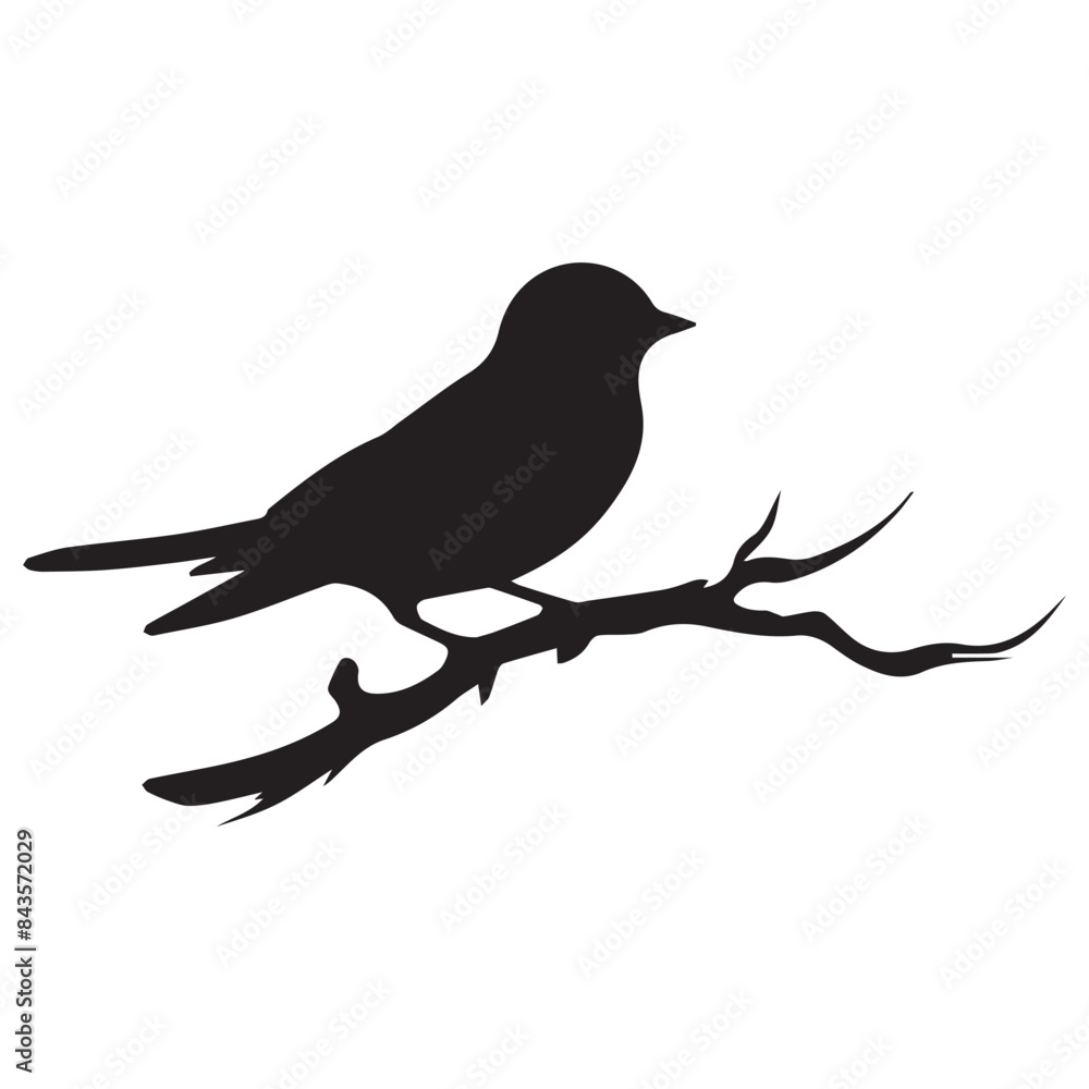 Obraz premium silhouette of a bird