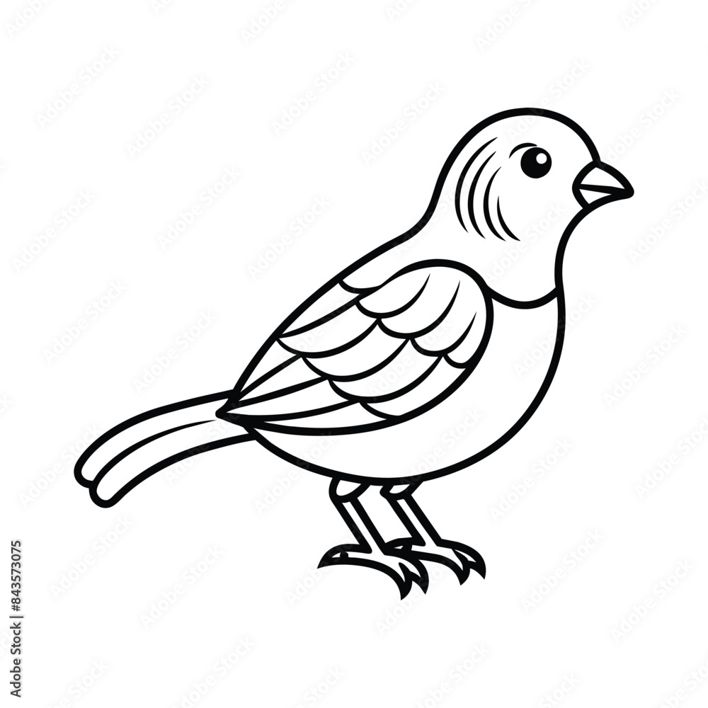 vector silhouette bird on white background vector silhouette bird on white background