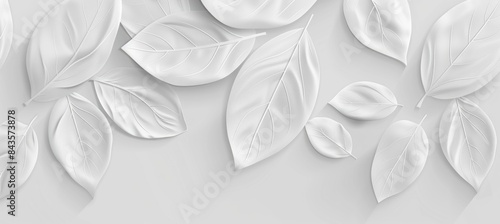 White background with abstract leaf pattern.