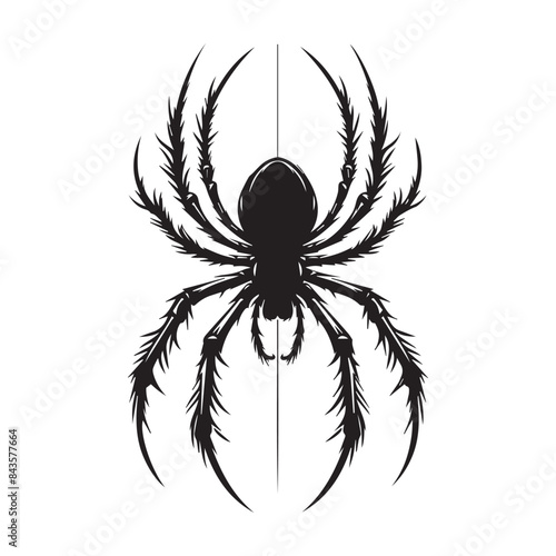 silhouette of a spider