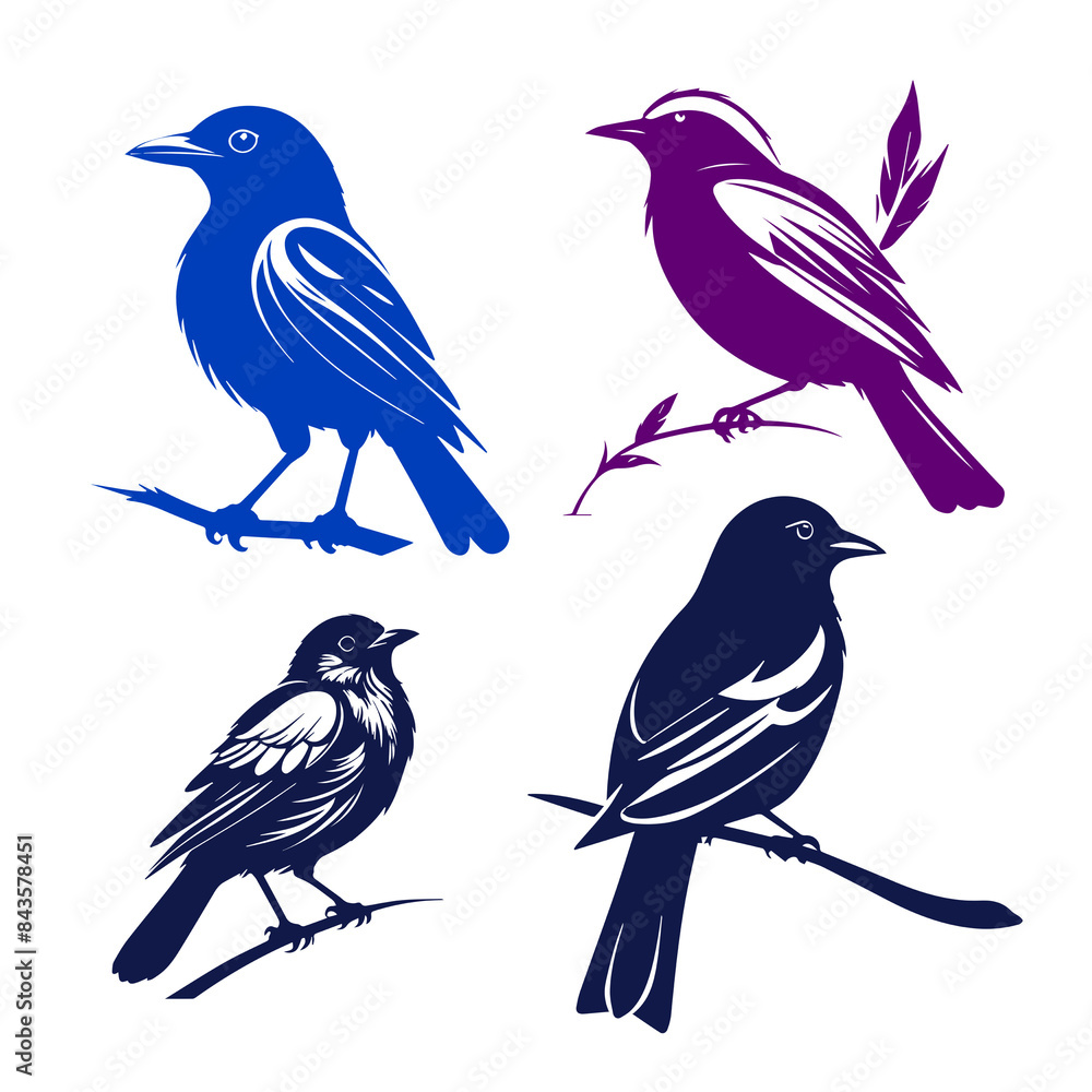 collection of birds collection of birds