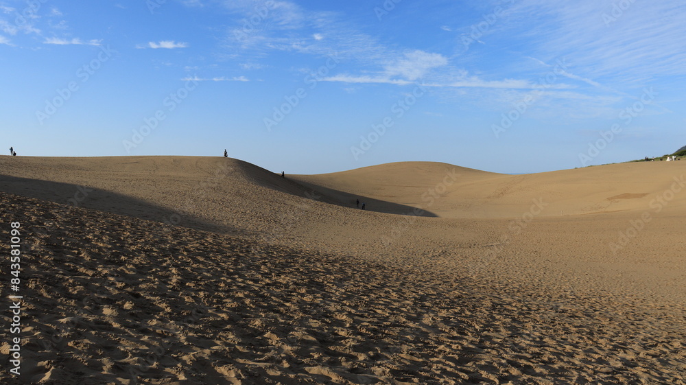 Naklejka premium 鳥取砂丘