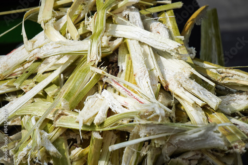 Photos Sugar cane waste