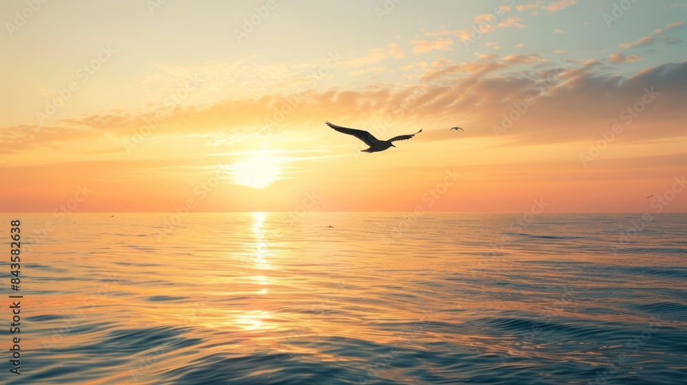 Fototapeta premium Seagulls fly over the sea at a time when the sun sets over the horizon. Bird over sea on Morning time