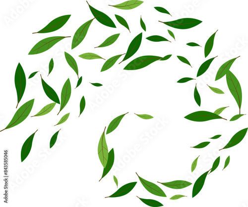 Flying green leaves element decoration freshening in nature background. botanical vector