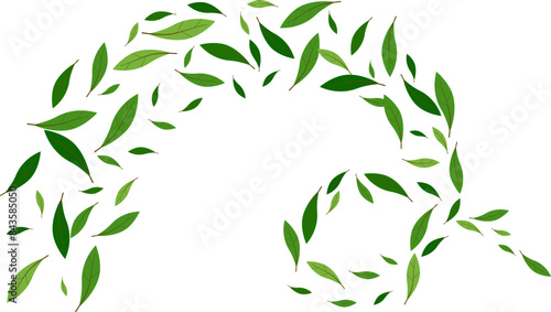 Nature floating green leaves flying decoration freshening greenery ecology illustration