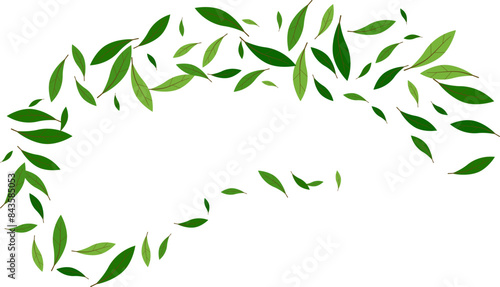 Green foliage leaves flying natural beverage advert. organic product background
