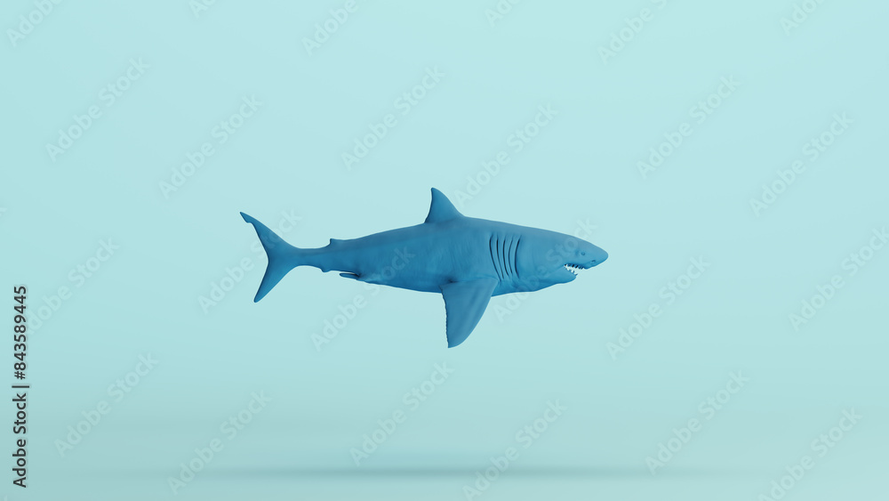 Obraz premium Blue shark jaws teeth predator hunter killer man eater pale background 3d illustration render digital rendering 