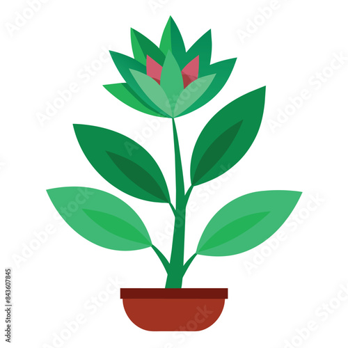 Adobe Illustrator Artwork plant Nahuatl