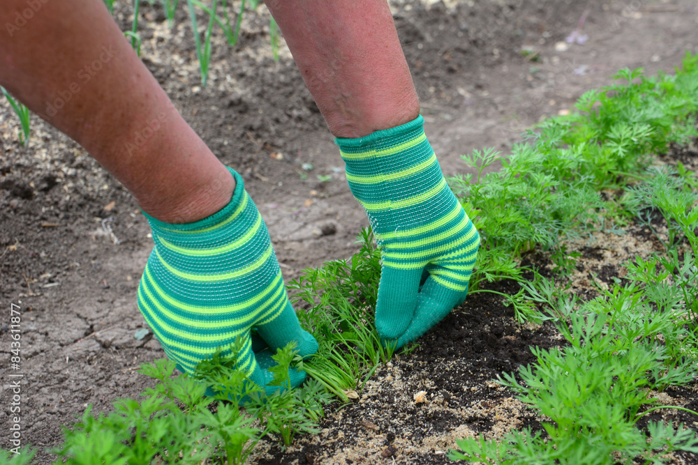 a person wearing gloves working with seedlings close up a person wearing gloves working with seedlings close up