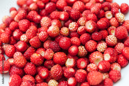 frische Walderdbeeren auf einem Teller