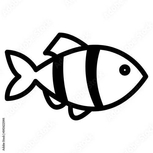 fish or seafood