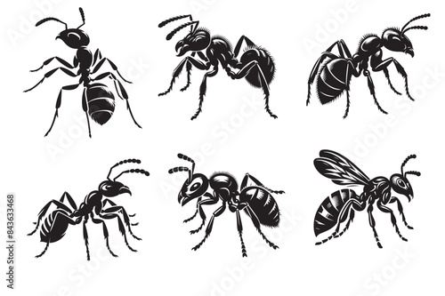 Ant silhouette vector illustration.eps