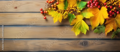 A captivating autumn composition featuring vibrant yellow and green leaves along with mountain ash berries exudes juicy and bright colors on aged wooden boards creating an irresistibly alluring and t © StockKing